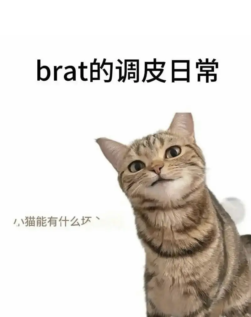 【西檬之家】S是什么意思？字母圈核心术语解析