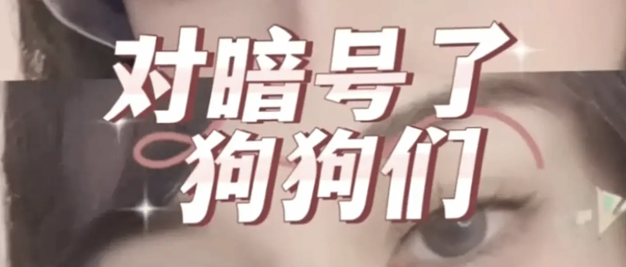 西檬之家-字母圈新手必读：BDSM核心术语与SP实践指南