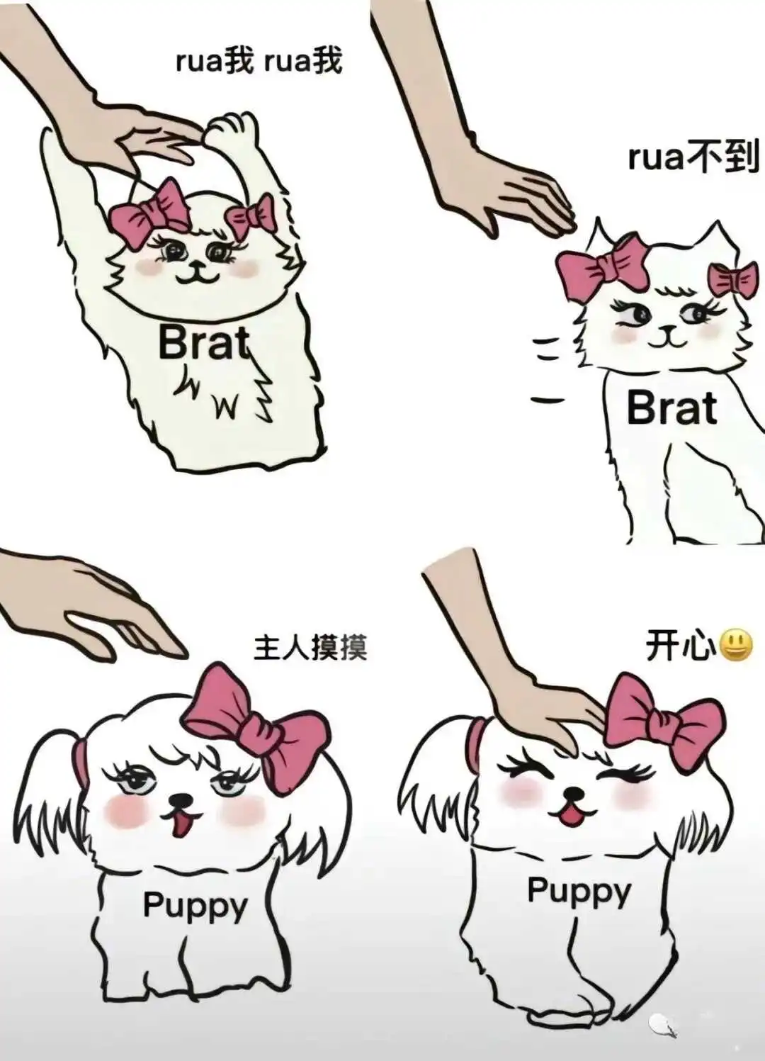 【西檬之家】K8猫系是什么意思？字母圈新人如何理解K8与K9的区别
