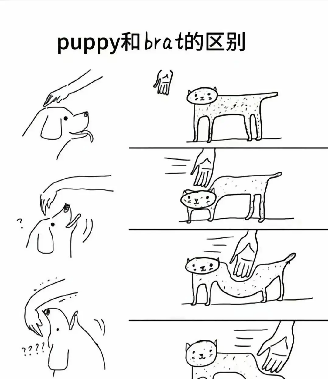 【西檬之家】字母圈新人如何入圈？BDSM安全指南与核心概念解析