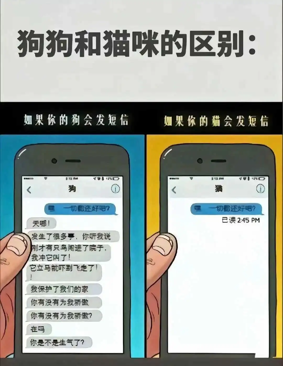 【西檬之家】s属性详解：BDSM圈新人必知的核心概念与守则