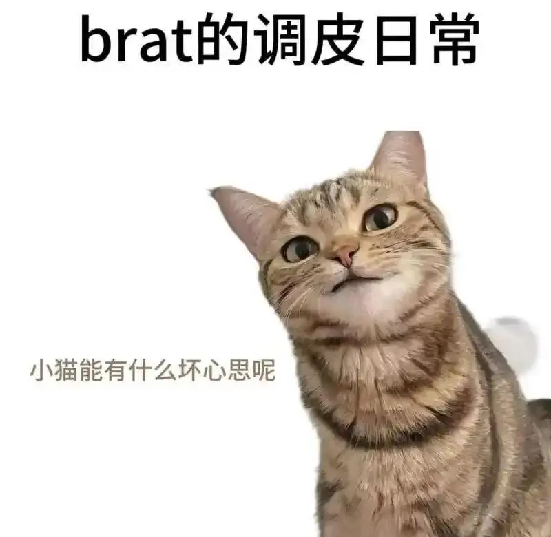 西檬之家-TK在字母圈中意味着什么？新人入圈指南