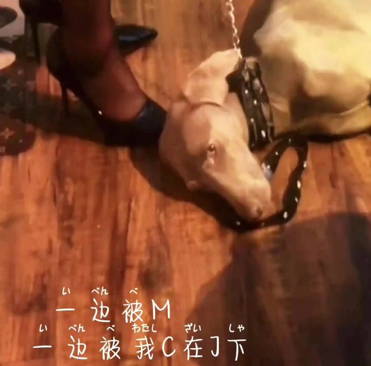 【西檬之家】S是什么意思？BDSM圈新人必知的核心术语解析
